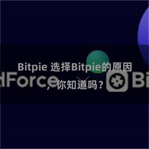 Bitpie 选择Bitpie的原因，你知道吗？