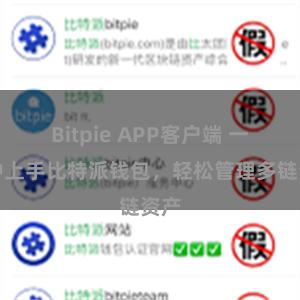 Bitpie APP客户端 一分钟上手比特派钱包，轻松管理多链资产