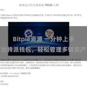 Bitpie资源 一分钟上手比特派钱包，轻松管理多链资产