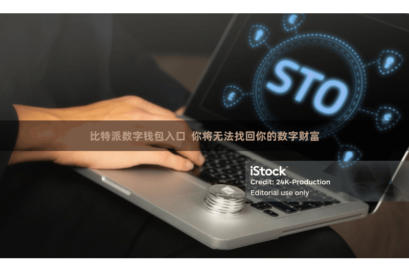 比特派数字钱包入口  你将无法找回你的数字财富
