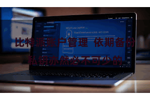 比特派账户管理  依期备份私钥亦然必不可少的