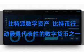 比特派数字资产  比特币行动最具代表性的数字货币之一