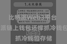 比特派Web3平台  比特派链上钱包还撑抓冷钱包存储