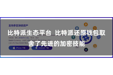 比特派生态平台  比特派还原钱包取舍了先进的加密技能